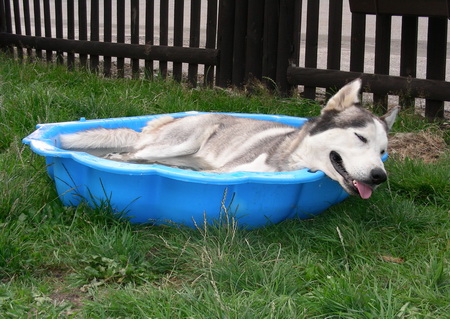 aktuální fotografie